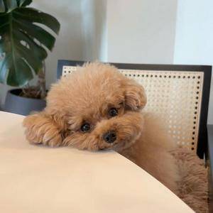 ユラ 19歳