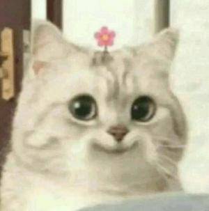 ミク 25歳