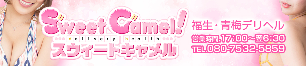 Sweet Camel（スウィートキャメル）