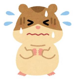 水瀬りお 24歳
