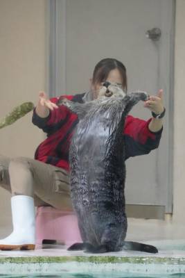 紅音あこ 27歳