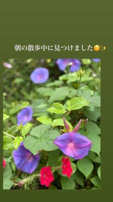 音無ゆかり 26歳