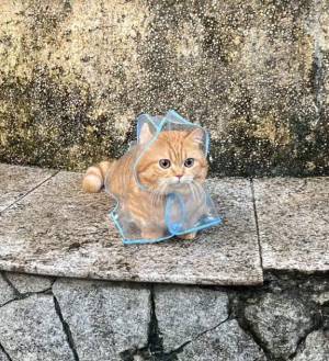 渋谷はのん 26歳