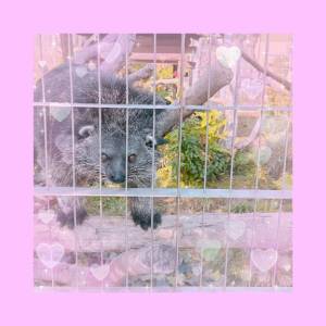 三浦はるか 24歳