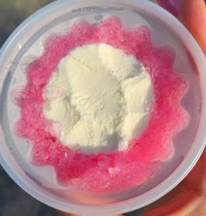 絢辻　まこと 28歳