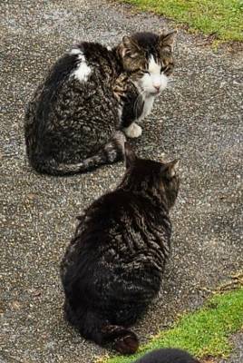 絢辻　まこと 28歳