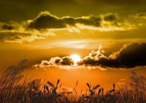 愛月　あさみ 33歳