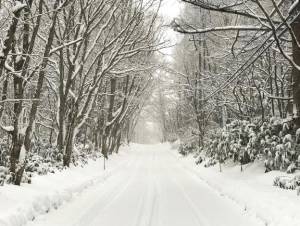 愛月　あさみ 33歳