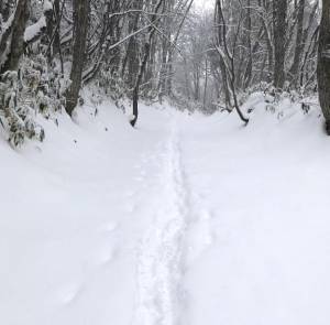 愛月　あさみ 33歳