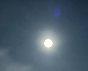 柏木　わか 44歳