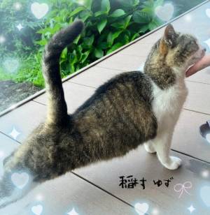 稲村　ゆず 38歳