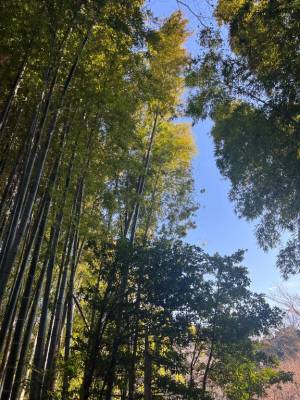 吉瀬しおり 41歳