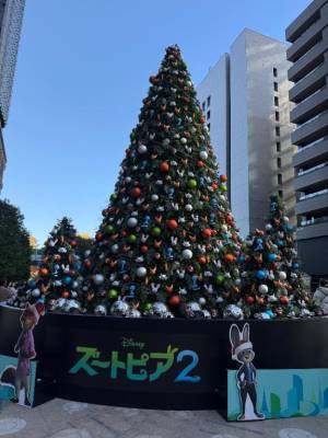 吉瀬しおり 41歳