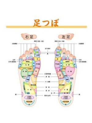 こころ 24歳