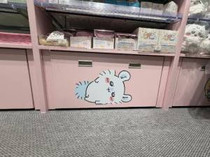 こころ 24歳