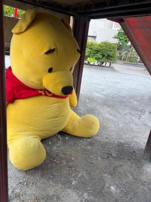 みどり 25歳