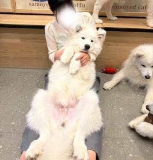 さくら 21歳