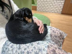 みく 21歳