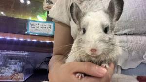ひなこ 21歳