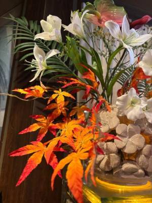 三苫よつば 19歳