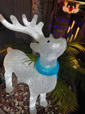 三苫よつば 19歳