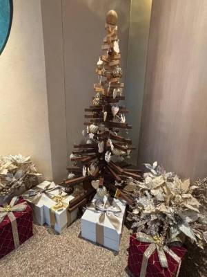 三苫よつば 19歳