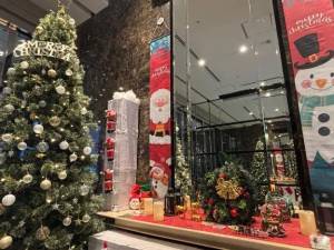 三苫よつば 19歳