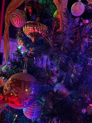 三苫よつば 19歳