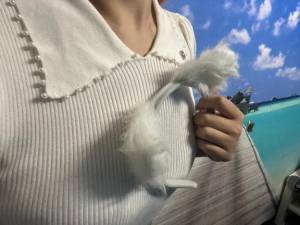 桃花かな 18歳