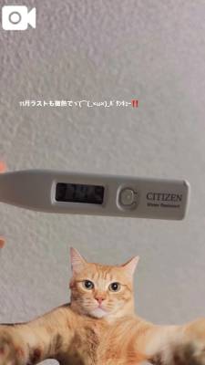 四宮ももか 20歳