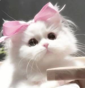 広瀬みい 20歳