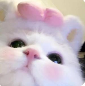 広瀬みい 20歳