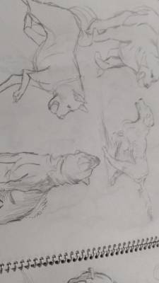 羽舞まゆな 18歳