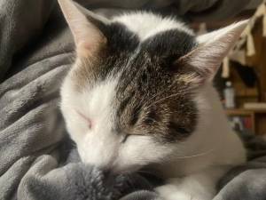 岡島まどか 25歳