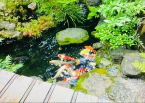 広末えれな 35歳