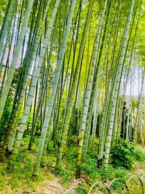 広末えれな 35歳