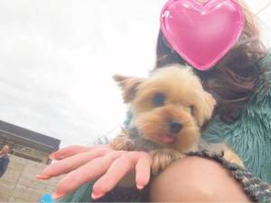 広末えれな 35歳