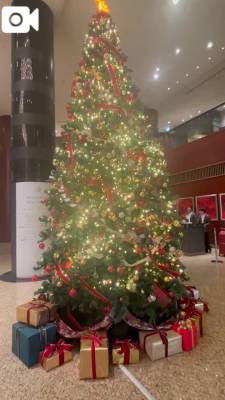 広末えれな 35歳