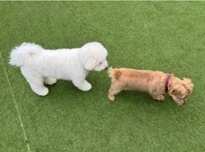 広末えれな 35歳