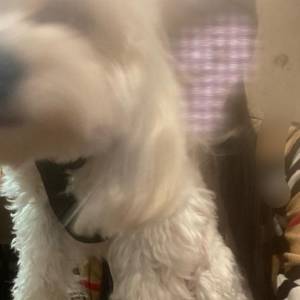 星野みひろ 35歳