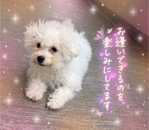 小澤ゆな 36歳