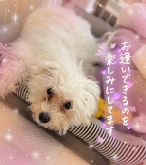 小澤ゆな 36歳