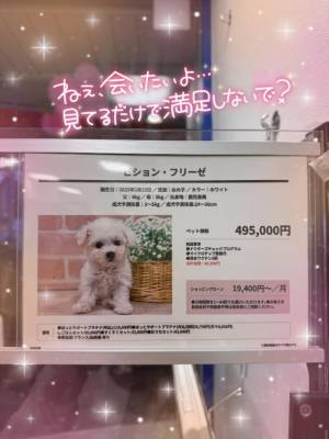 小澤ゆな 36歳