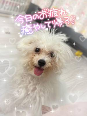 小澤ゆな 36歳