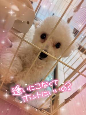 小澤ゆな 36歳