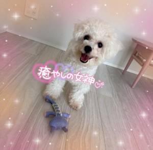 小澤ゆな 36歳