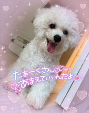 小澤ゆな 36歳
