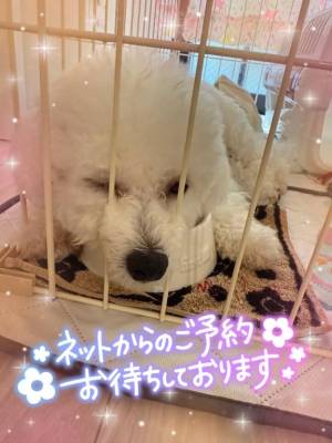 小澤ゆな 36歳
