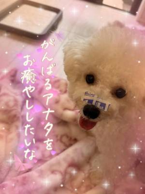 小澤ゆな 36歳