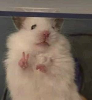 にこ 19歳